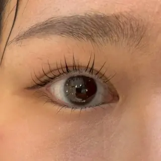 マツエク・マツパ Daisy Lash 梅田店のマツエク・マツパデザイン