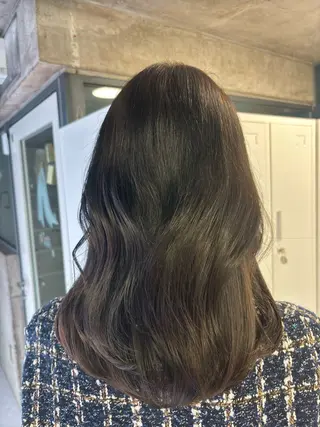 カラー モリシタ チョウのヘアスタイル