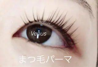 マツエク・マツパ eyelash catwinkのマツエク・マツパデザイン