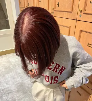 ショート カラー SIKI yuuna レイヤーカット🪽のヘアスタイル