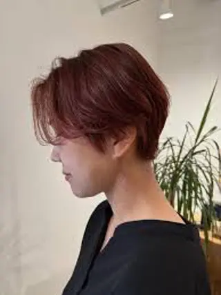 カラー 山城 大芽のヘアスタイル