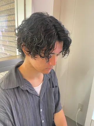 パーマ メンズ 町田エリアＮｏ．１/ パーマ特化/太田京希のヘアスタイル