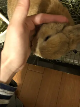 ❤️予約殺到❤️mi オールハンド痩身専門のエステ・リラクイメージ