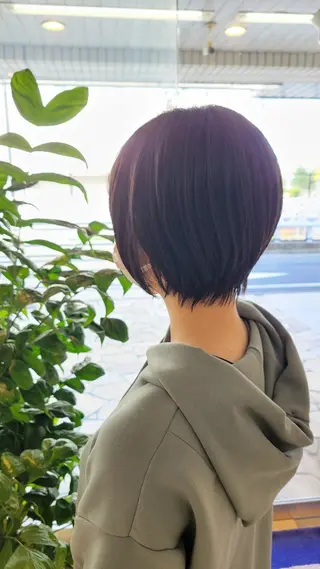 ショート 山内 佐江子のヘアスタイル