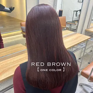 セミロング カラー ⌇🌹透明感カラー 🌹ᴍᴇɢᴜᴍɪ ⌇のヘアスタイル