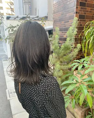 カラー 杉山 憂人のヘアスタイル