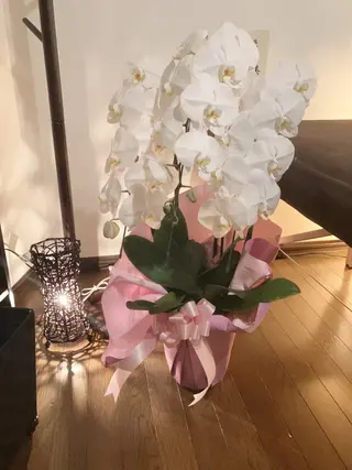 ドライヘッドスパ 癒しの祈のエステ・リラクイメージ