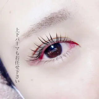 マツエク・マツパ eyelash catwinkのマツエク・マツパデザイン