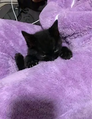 ネイル つめノ さきのネイルデザイン