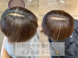 ショート 似合わせ松本 容政のヘアスタイル