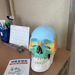🦴一柳きらら🦴 骨格調整の専門家のエステ・リラクイメージ
