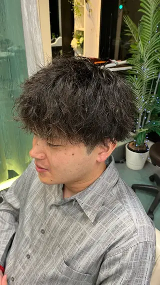 メンズ 恵比寿メンズパーマ/ 無料モデル/こんのヘアスタイル