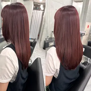 ロング カラー Endearing 銀座/レイヤーカットのヘアスタイル