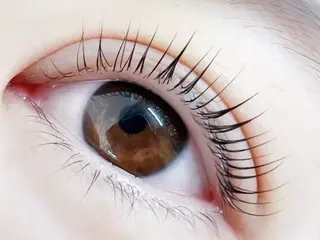 マツエク・マツパ LELEGANCE eyelashの眉毛・アイブロウイメージ