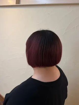 ショート 木戸 彩乃のヘアスタイル