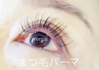 マツエク・マツパ eyelash catwinkのマツエク・マツパデザイン