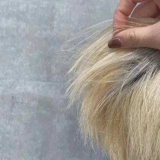 ショート カラー 暖色カラー🍊 せきゆうかのヘアスタイル