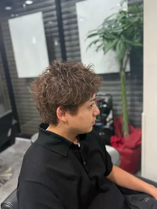 パーマ メンズ 本田 有里のヘアスタイル