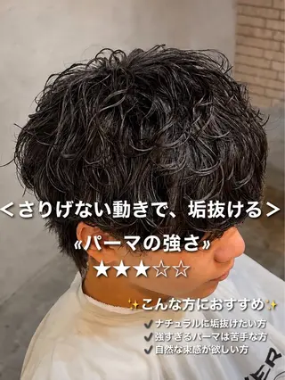 ショート パーマ メンズ シャドウパーマ 小形のヘアスタイル