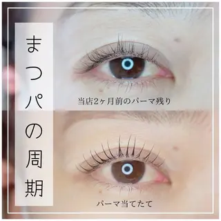 マツエク・マツパ Lash Art Sのマツエク・マツパデザイン