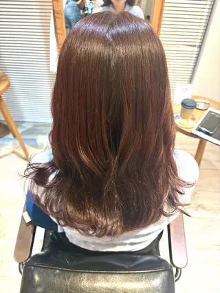 ミディアム カラー 暖色カラー/艶髪/ 🌻木村真緒🌻のヘアスタイル