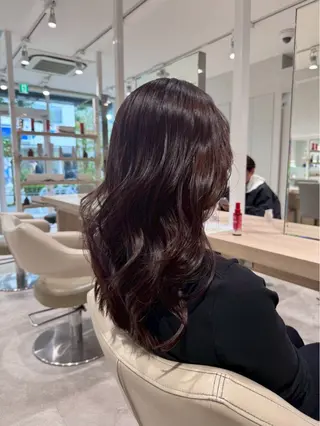 セミロング 坂上 桜香のヘアスタイル