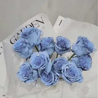 gem. YAYOのその他イメージ