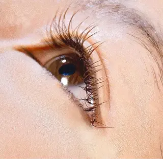 マツエク・マツパ Eyelash Nappのマツエク・マツパデザイン