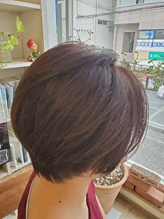 ショート 田中 牧子のヘアスタイル