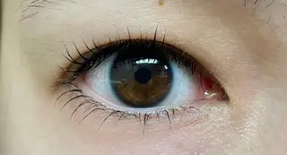 マツエク・マツパ 眉毛/まつ毛/代官山 アイサロン🌻NAEのマツエク・マツパデザイン