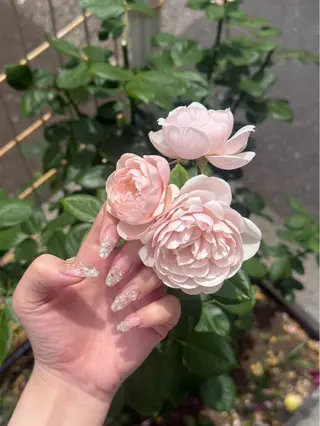 ネイル * haruのネイルデザイン