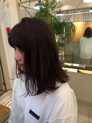 ミディアム カラー 白髪ぼかし/ショート /ミニボブだいじのヘアスタイル