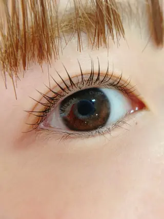 マツエク・マツパ Lapis eye&blowのマツエク・マツパデザイン