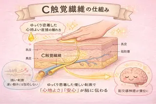 メンズ 楽福RAKUFUKU リンパマッサージのエステ・リラクイメージ