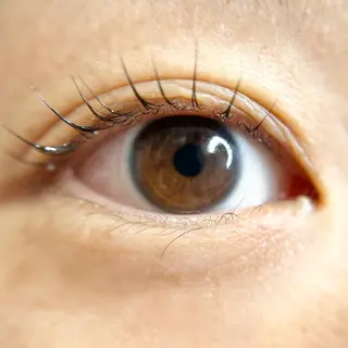 マツエク・マツパ TOSHI .の眉毛・アイブロウイメージ