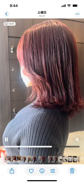 ミディアム Alegria アレグリアのヘアスタイル