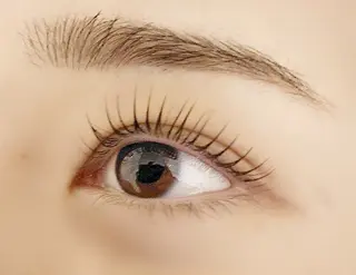 マツエク・マツパ eyelash Lのマツエク・マツパデザイン