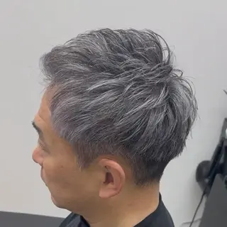 ショート カラー メンズ 白髪ぼかし大人メンズ 根本零のヘアスタイル