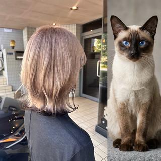 ミディアム タカツド ユウキのヘアスタイル
