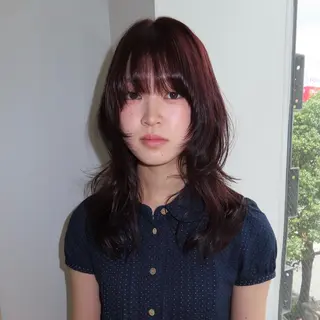 ミディアム カラー 🎀レイヤー/ カラー🐕🦺anのヘアスタイル