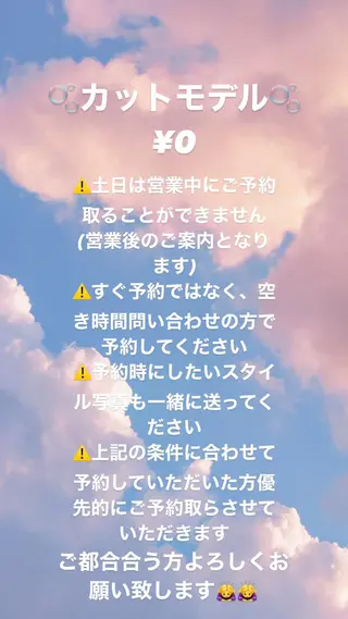 アオリ/韓国風 ハイトーン/レイヤーのヘアスタイル