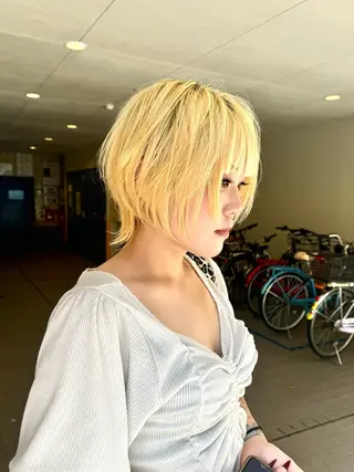 ショート カラー ハイトーン/レイヤー /ウルフ⭐️永田⭐️のヘアスタイル