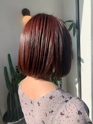 ミディアム カラー ヘアアレンジ REONA🪽✨薬院 レイヤーカット🫧のヘアスタイル