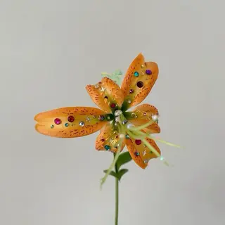 Bianca笹塚 momonaのネイルデザイン