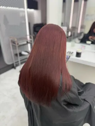 ロング カラー 🥂上品ワンホンヘア 🥂nozomiのヘアスタイル