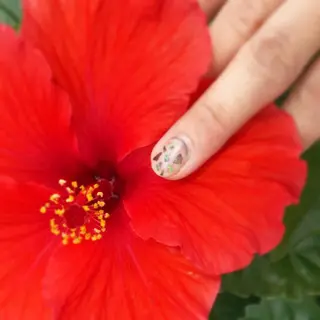 ネイル gui amichanのネイルデザイン