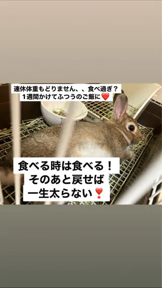 ❤️予約殺到❤️mi オールハンド痩身専門のエステ・リラクイメージ