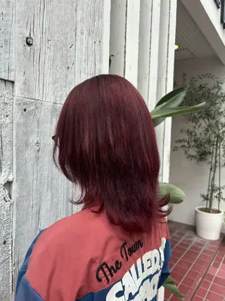セミロング 【ハイトーン特化】 🦋森山陽向/大宮のヘアスタイル