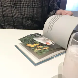 moon 梶本のマツエク・マツパデザイン