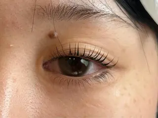 マツエク・マツパ Daisy Lash 土師のマツエク・マツパデザイン